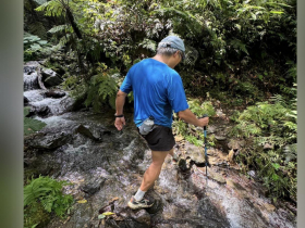 颱風過後到烏來內洞林道練腳力！空氣清新、涼風徐徐，享受原野快感...謝金河：這種快意的感覺很棒